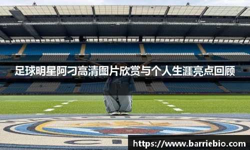 必一运动bsport体育